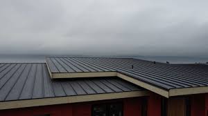 Best Emergency Roof Repair Services  in Collinsville, TX